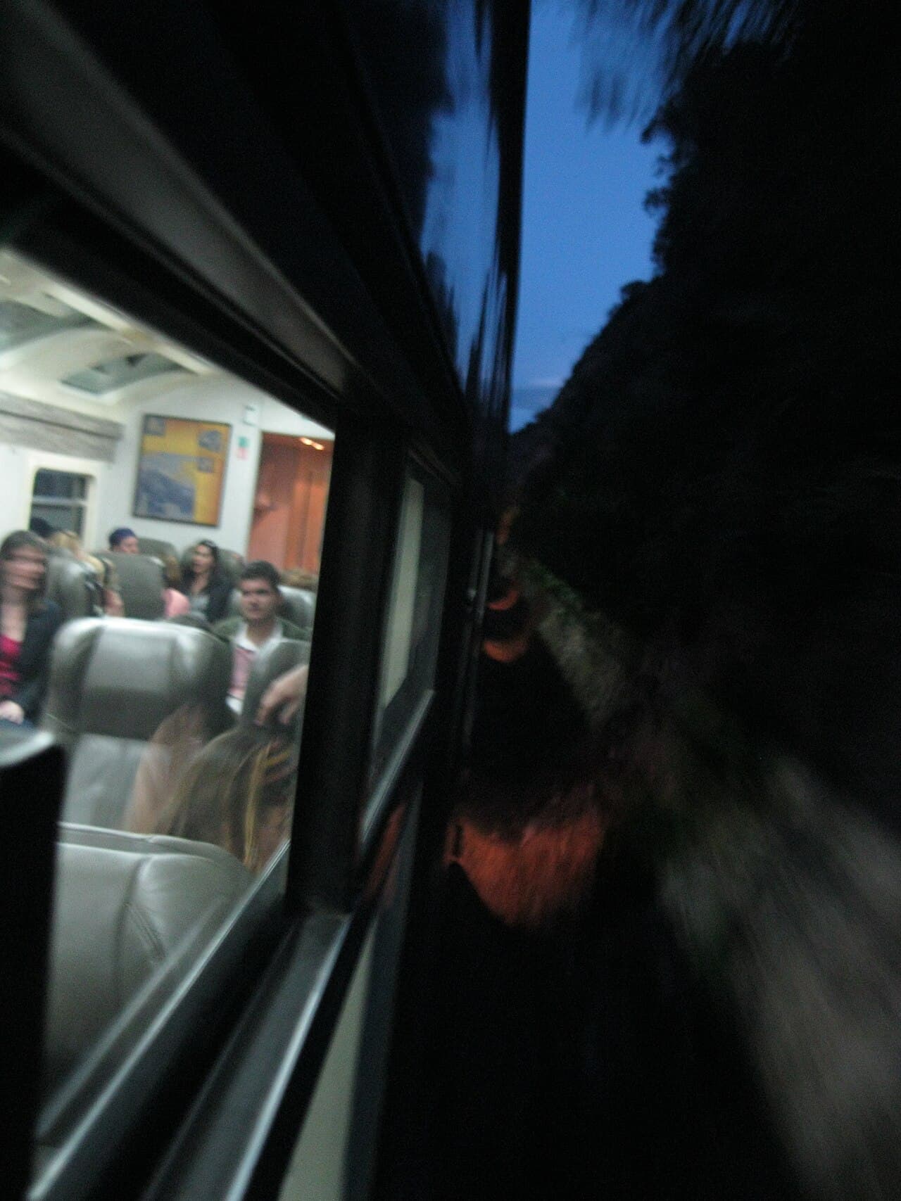MachuPicchu en Tren Vistadome Observatory 2D/1N